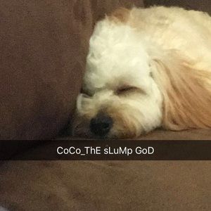 Meet your Posher, Marcus